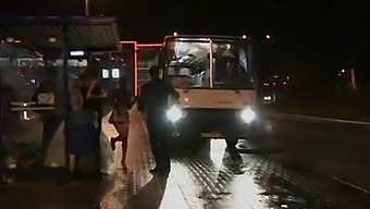 Kohouti Sají V Prsatém Trojúhelníku