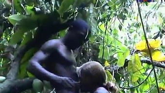 Afrika Tanrıçası Sauvage 4 Ile Irklararası Tutku