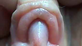 Intenso Primer Plano De Un Gran Coño Apretado, Labios Y Clítoris